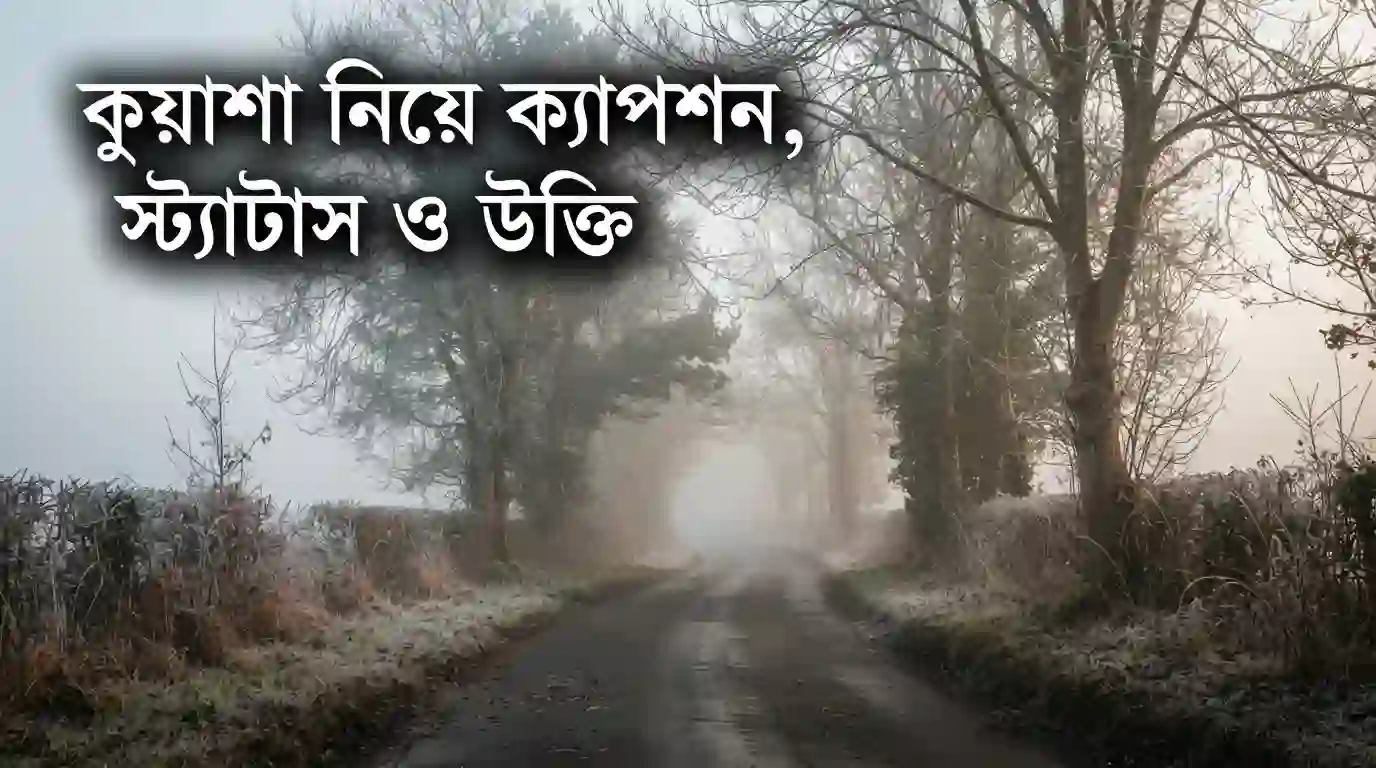 কুয়াশা নিয়ে ক্যাপশন, স্ট্যাটাস ও উক্তি